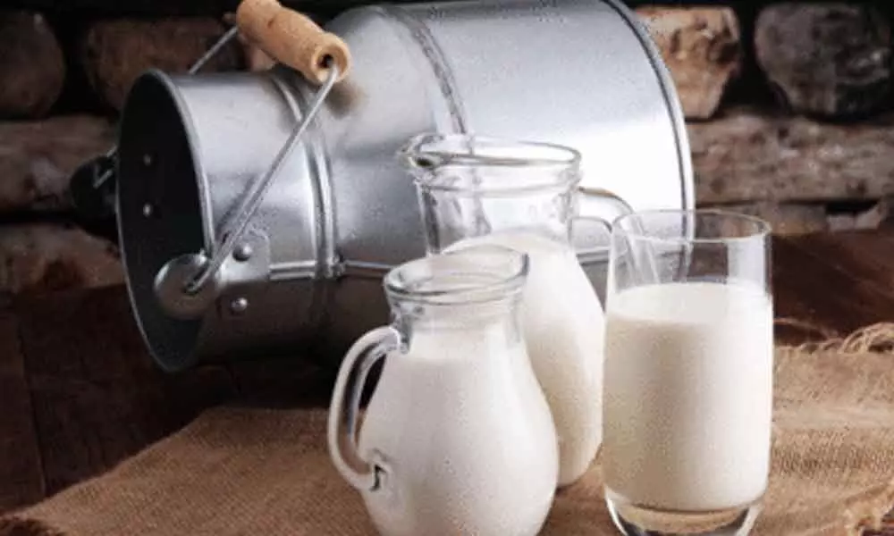 fresh milk (ltr),fresh yongurt (kg),special meethi lassi (glass),cold & sweet milk,special firni,special chaati lassi (1.5 l),khalis khoya,khalis makhan,khalis dasi ghee,gajer halwa,firni (kg),special kheer,special kashmiri chai,milk jalebi,special kheer, ras malai (plate),